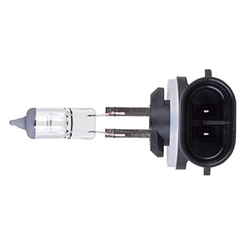 Philips 896 Standard Fog Bulb (Pack of 1)