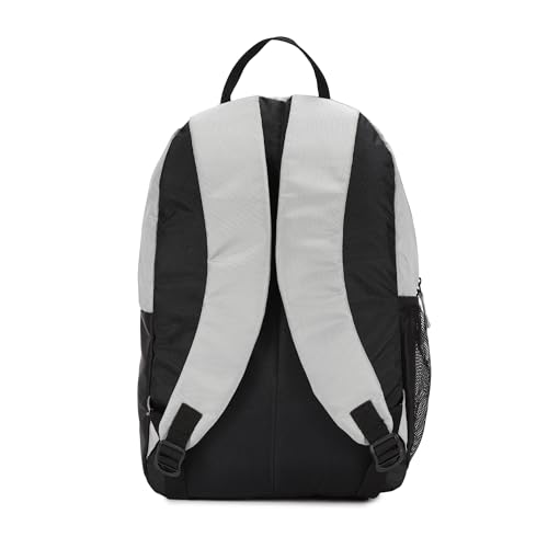 Image of DIVULGE Coral 24 liters Laptop Backpack (Grey)