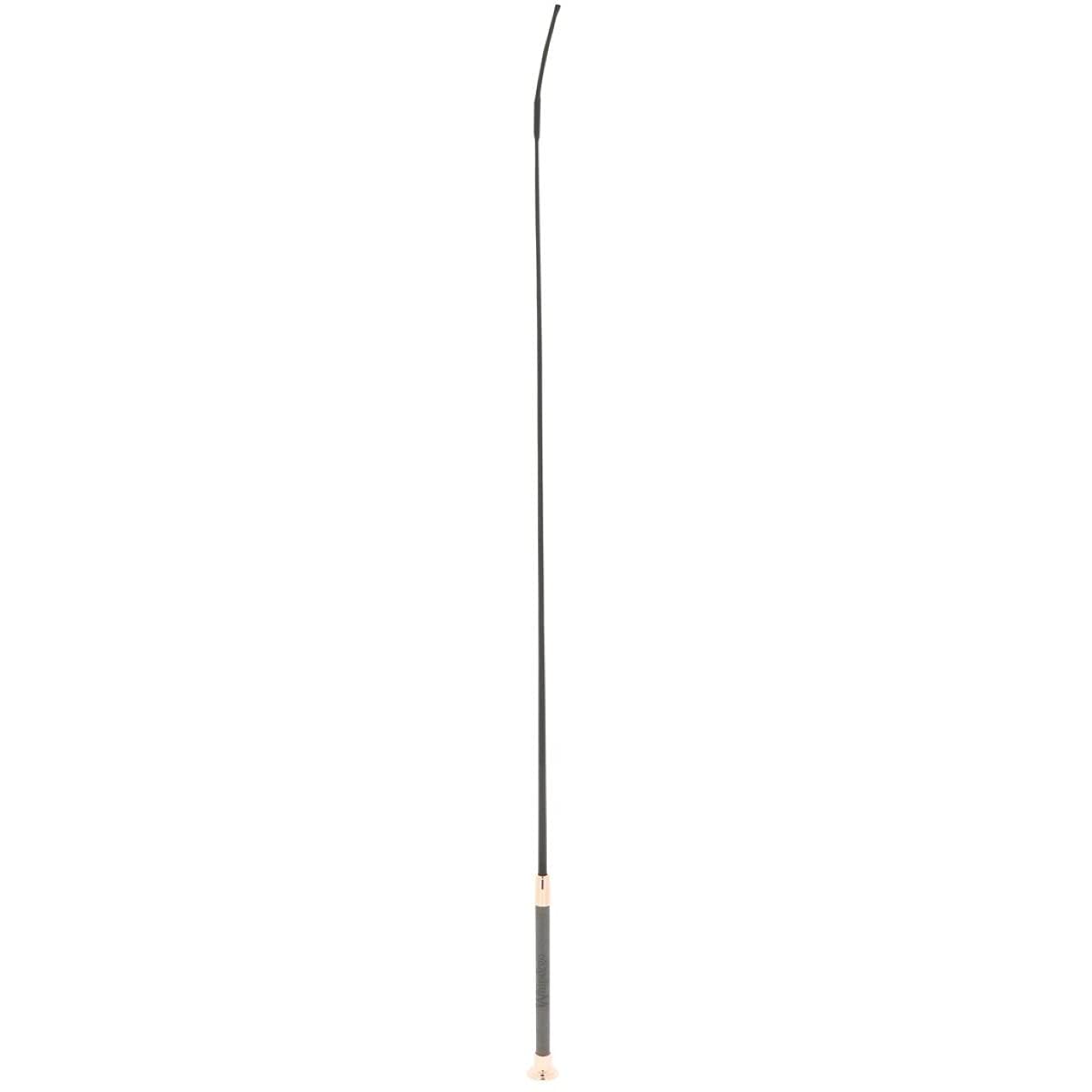Whip & Go Fusta de doma 100 cm 110 cm 120 cm muchos colores