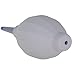 Pixel RB-20 Strong Cleaning Air Blower for Camera Lens,LCD Screens,etc Photographic Equipment.