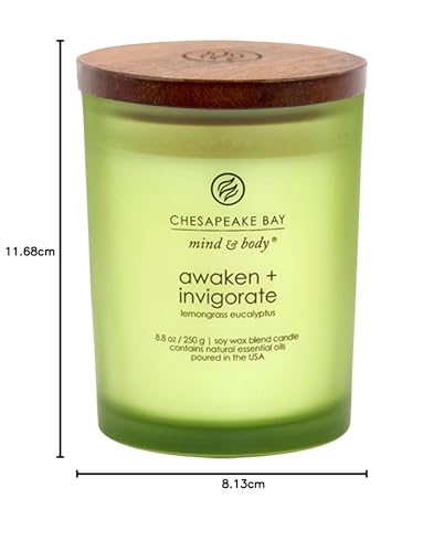 Chesapeake Bay Candle Pt40886 Scented Candle, Awaken + Invigorate (Lemongrass Eucalyptus), Medium, Green