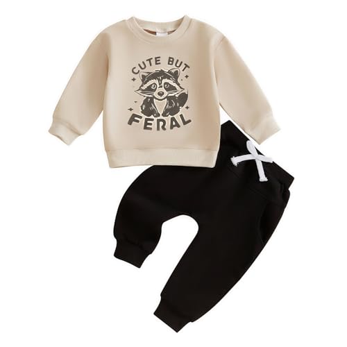 Image of Sejardin Toddler Baby Boy Clothes Cute Fall Winter Outfit 6 12 18 24M 3T Letter Long Sleeve Sweatshirts and Jogger Pants Set