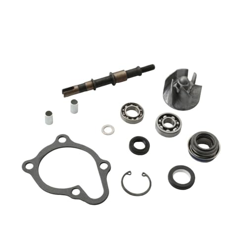 Kit de réparation de pompe à eau pour BWS 250cc 300cc 4T 100110460