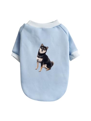  Č   ybg hbOEFA ̕ L ybgEFA h _炩 іh~   t@bV U ybgpi