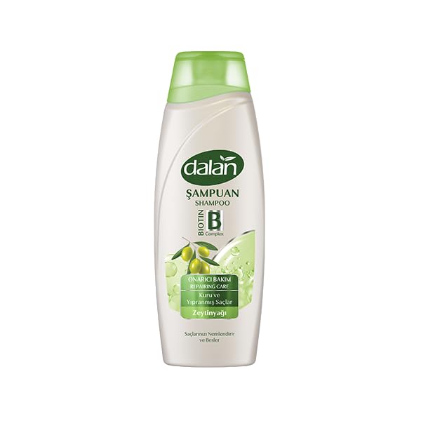 Dalan Onarıcı Bakım Şampuanı 450 ml