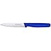 Produktbild Victorinox 5.0702 Gemüsemesser, 10cm, Mittelspitz, Klingenschutz, spülmaschinengeeignet, blau , 30 x 5 x 5 cm