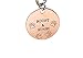 Copper pet tag