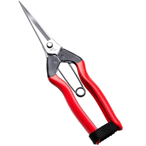 RANSHOU Japanese Garden Shears Long Blade 7.9