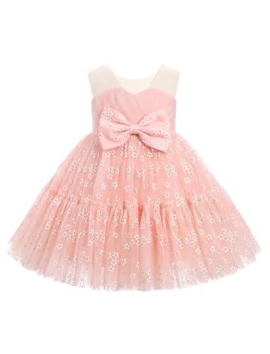 IBTOM CASTLE Toddler Baby Girl Birthday Princess Dress Sleeveless Floral Strawberry Tulle Tutu Dresses Formal Pageant Gown