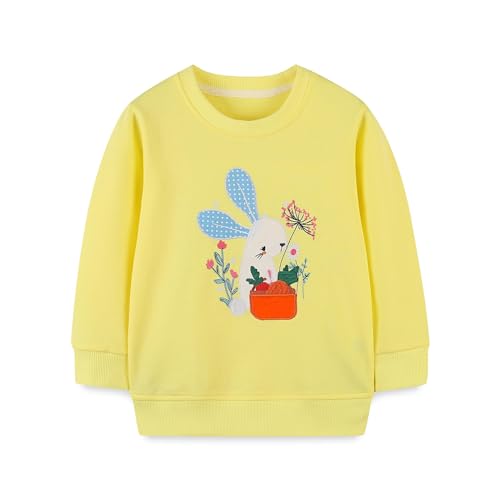 Baby Girls Cute Little Rabbit Embroidered Sweater Round Neck Long Sleeve Pullover Top