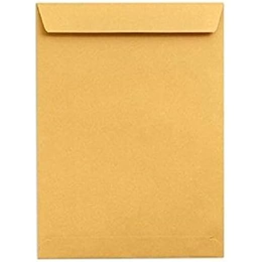 True-Ally Poly Laminated Envelopes Pack of 25 10 x 14 inches