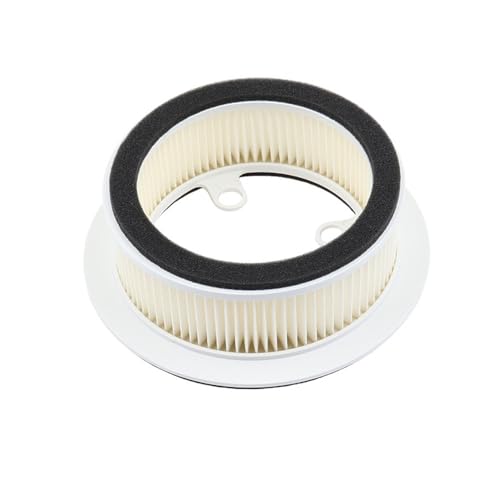 Filtre à air Maxsym TL500 résout les pertes de puissance moteur TL508