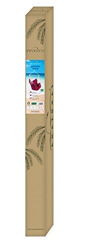 AMAZONAS XL Hängesessel handgefertigt in Brasilien Artista Sand mit Querstab aus FSC Buchenholz 110 cm bis 150kg in Hellbeige - 6