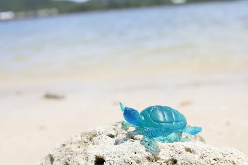 カメフィギュア[DP20]