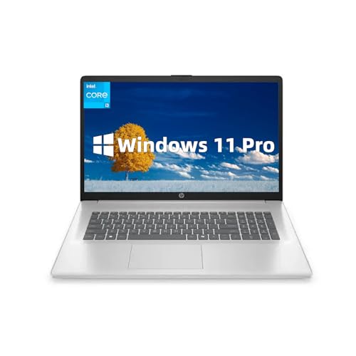 HP Flagship 17.3 �m�[�g�p�\�R�� - Windows 11 Pro�A17.3�C���`HD�A���`�O���A�f�B�X�v���C�AIntel i3-N305�A�e���L�[�p�b�h�AWi-Fi 6�A�R�p�C���b�g�A�����[�d�A�i���[�x�[���A�i�`�������V���o�[(16GB 