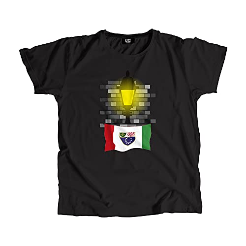 T-shirt Bosnie-Herzégovine imprimé briques de lampadaire haut unisexe en coton