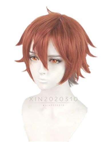 Amazon.co.jp: Ace コスプレウィッグ ツイステッドワンダーランド