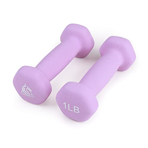 LIONSCOOL Neoprene Coated Dumbbell Weights (Lavender 1lb Pair)