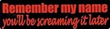 Generic Remember My Name You'll Be Screaming It Later Motorcycle Helmet Sticker