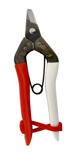 Image of Okatsun No. 301 Fruit Cutting Shears Reverse Blade (Boxed)