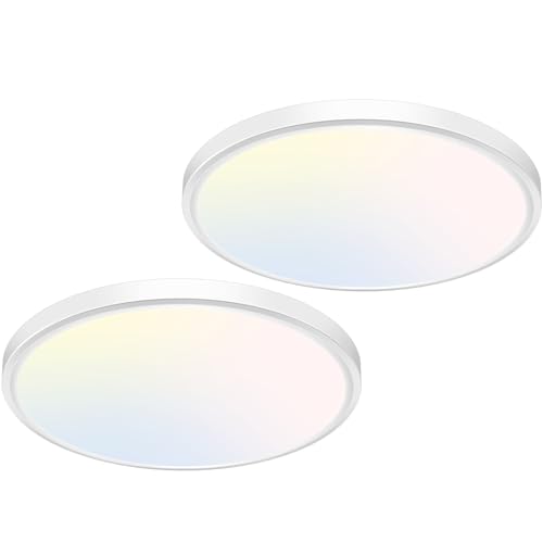 Image of libtit 12 inch Flush Mount LED Ceiling Light Fixture, 3000K 4000K 6500K Adjustable, 28W 3200lm White Round Lighting Fixtures for Bathroom Shower Hallway Kitchen, 2 Pack