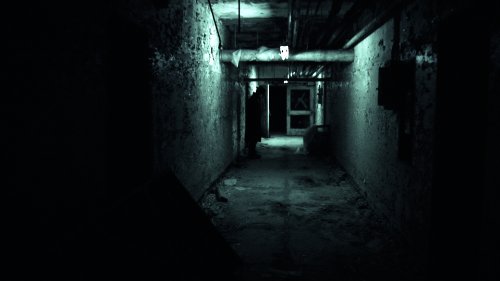 Asylum Tapes [DVD] [Edizione: Regno Unito]