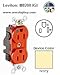 Leviton M8200-IGI IV LEV-LOK HG IG DUP REC 15A125V