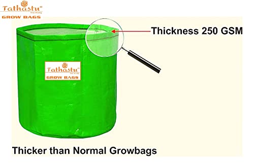 Image of Tathastu The Purity 24 inch X 24 inch Pack 3| 250 GSM Organics Terrace Home & Kitchen Gardening HDPE Circular 100% UV Treated Grow Bags (Plant Bags), Thick & Durable for Vegetable Fruits and Flower Plants