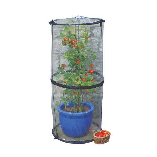 TIERRA GARDEN Haxnicks Cloche010101 - Campana de Tomate emergente para protección contra Las babosas de tizón y Las inclemencias del Tiempo, Transparente, 50 x 50 x 110 cm