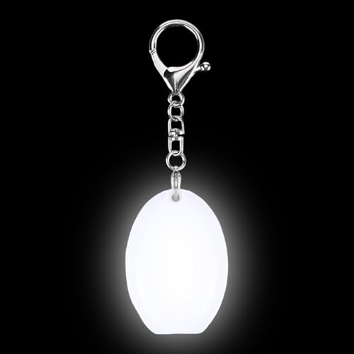 Purse Light,�ȉ~�` �[�d�� LED �����v | ���s�E�����E��e�E�V�����_�[�o�b�O�E���z�E�g�[�g�E�R���T�[�g�E�C�x���g�E�z���f�[���� | �V�����_�[�o�b�O �g�[�g�o�b�O �C�x���g �N���X�}�X �p�[�e�B�[ ��ԗp