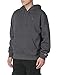 Champion Men's Hoodie, Fleece Striped Sweatshirt for Men (Reg. or Big & Tall)