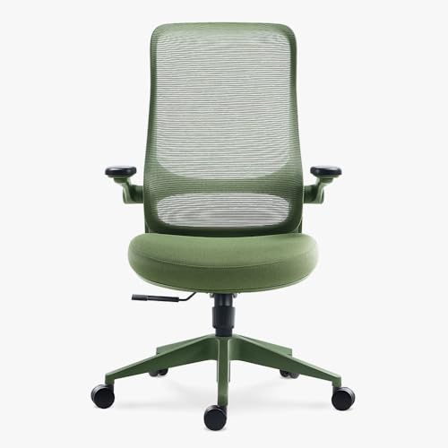 sunaofe chair