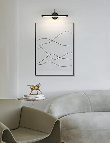 Joosenlux Picture Lights For Paintings Hardwired 16.5" Inch Long Dimmable Black Wall Lights With Adjustable Lighting Direction 110V 3000K #TOP4
