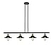 Innovations 214-BAB-M6 Four Light Island Pendant from Franklin Restoration Collection 8.00 inches, Black Antique Brass