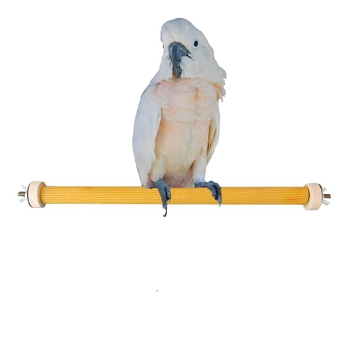 Parrot Perch Stand Brinquedo | Wood Bird Perch Stand Paw Grind Sticks Exercise Toys - gaiola estável