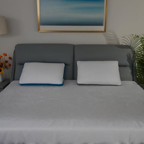 Original Adjustable Firm Pillow, Unique Bed Pillows for Sleeping,Comfort for Neck and Shoulder Pain - 750 Fill Power Down & 42D High Density Memory Foam Filling for Side,Back, Stomach Sleepers