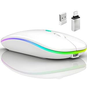 Mouse inalámbrico Bluetooth para MacBook Air/Mac/Pro/portátil/computadora/PC, interruptor de modo dual recargable, mouse Bluetooth 5.2/3.0 y receptor USB de 2.4 GHz (blanco)
