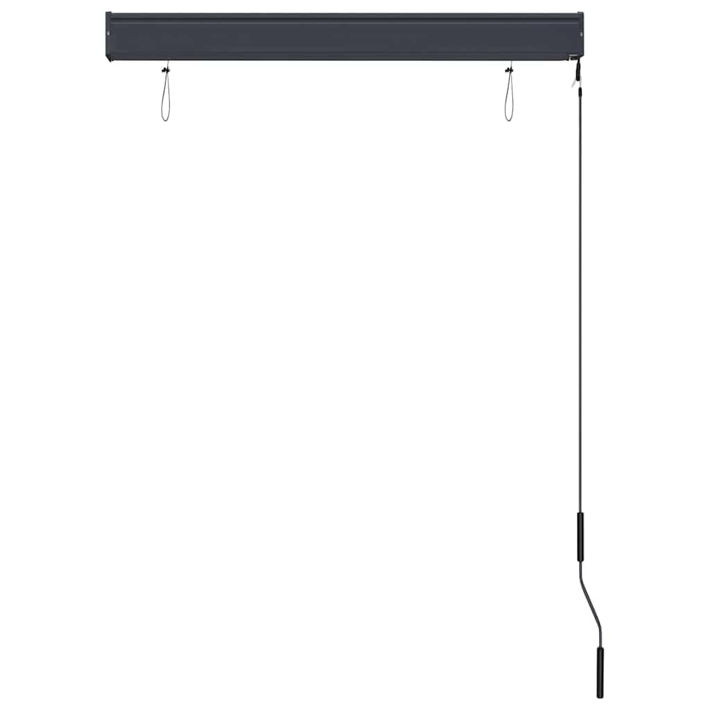 Store Roulant Extérieur 100 x 250 cm, Volet Vertical Manuel à Manivelle pour Balcon, Terrasse et Jardin, Rideau Intimité en Tissu Polyester Crème, Fixation au Plafond