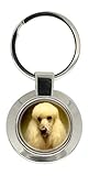 Metal 80% Resina Domo 20% Giftshop UK Caniche Llavero