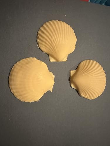 Decorative Sea Shell Soaps with Shea Butter and Vitamin E,