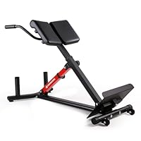 LIONSCOOL Schwerlast-Verstellbare Römische Bank – Rückenerweiterungsbank mit mehreren Einstellmöglichkeiten – Hyperextensionsbank, ideal für das Heimtraining