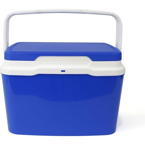 Mini Nevera portátil 5L Azul, Ligera y fácil de Llevar, Uso Individual en Playa, excursiones, Oficina o Coche, Ideal como lonchera, lancheira o Bolsa térmica pequeña