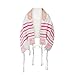 The Blessing Tallit Prayer Shawl For Children Christian - Small Tallit with Scriptures, Aaronic Blessing & Messianic Symbols (Pink)