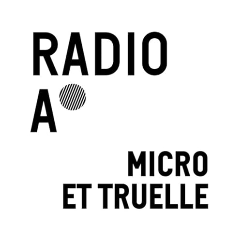 Page de couverture de Micro et truelle, la chronique des arch&eacute;ologues de la Ville de Lyon