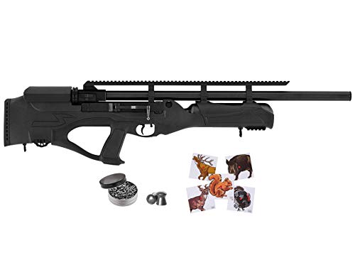 Wearable4U Hatsan Hercules Bully .22 Cal Air Rifle with Included 100x Paper Targets and 250x .22cal Pellets Bundle