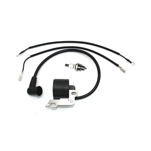 Bobine d'allumage pour réparer les démarrages difficiles 5000 2550