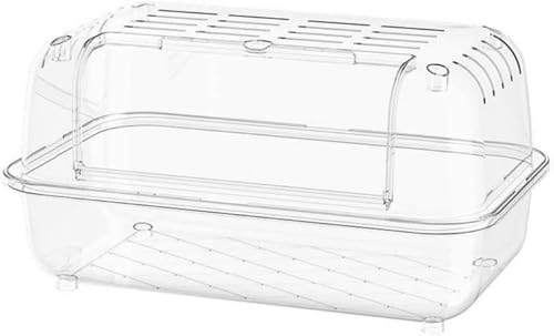 AOBOPO^nX^[P[W P[W bg nlY~ gJQ Ή ʋC |₷ Eh~ S݌v