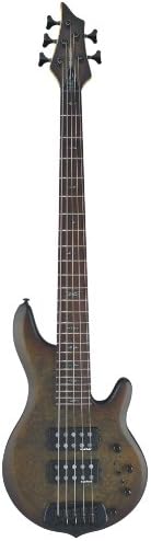 Traben Basses Chaos Core 5 Series TRACA5G 5-String Bass Guitar, Granite