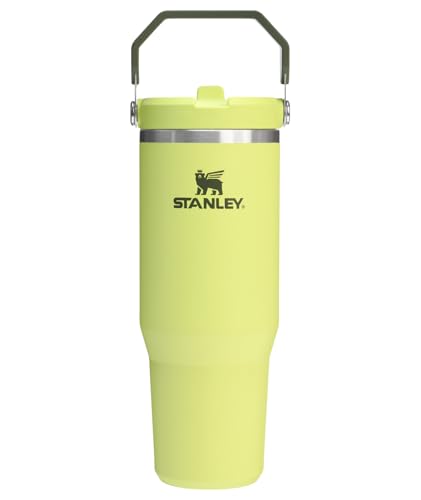 STANLEY IceFlow 2.0 Flip Straw Tumbler with Handle 30 oz | Twist On Lid and Flip Up Straw | Leakproof Water Bottle | Insulated Stainless Steel | BPA-Free | Prickly Pear