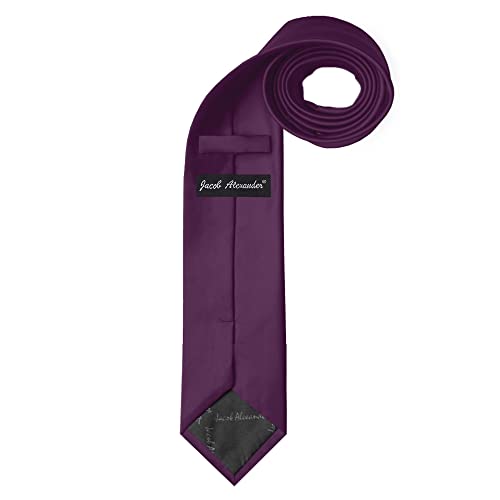 Jacob Alexander Solid Color Men's Regular Tie - Eggplant Purple